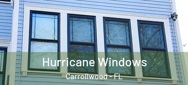 Hurricane Windows Carrollwood - FL