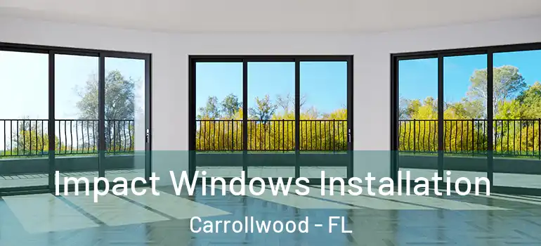 Impact Windows Installation Carrollwood - FL