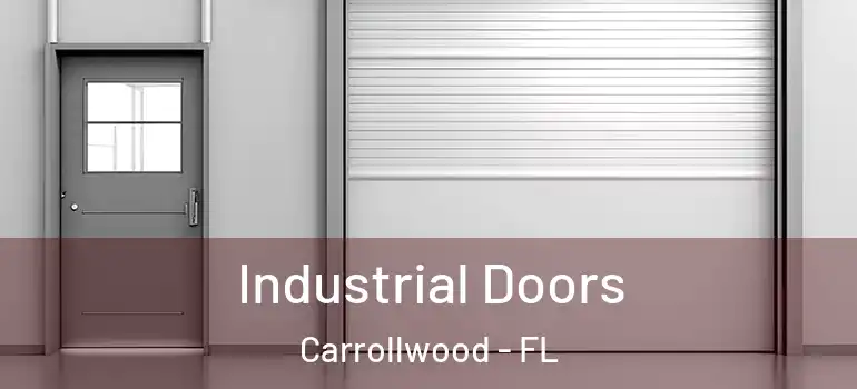 Industrial Doors Carrollwood - FL