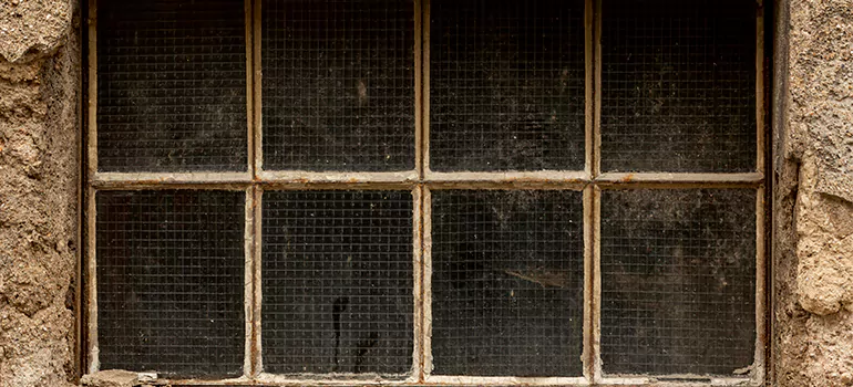 Traditional Double Front Doors in Carrollwood, FL