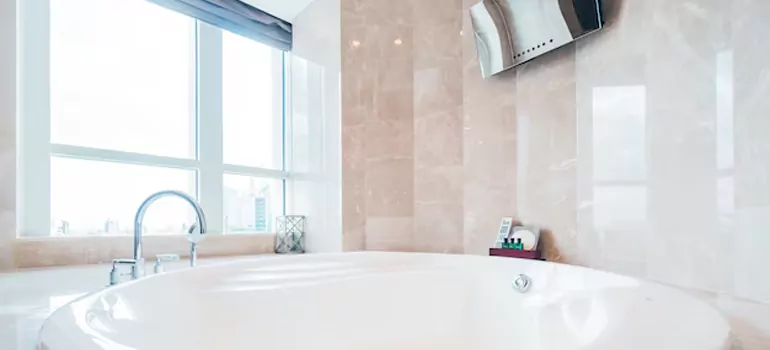 Bathroom Window Coverings in Carrollwood, FL