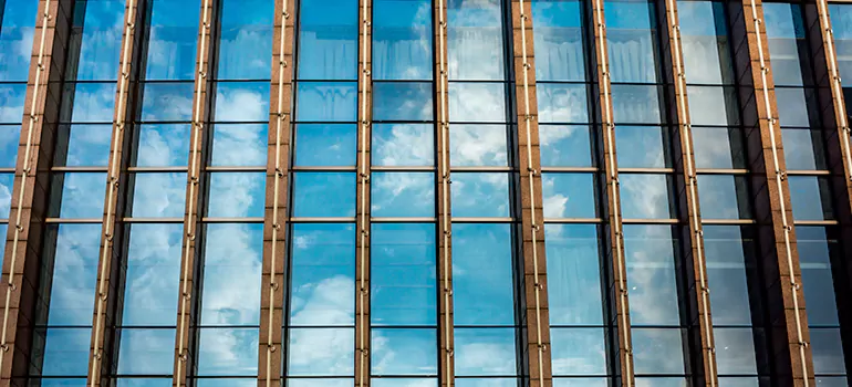 Professional Window Tinting Services in Carrollwood, FL