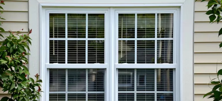 Custom Double Hung Windows in Carrollwood, FL