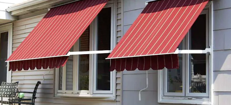 Government Rebate Window Replacement in Carrollwood, FL