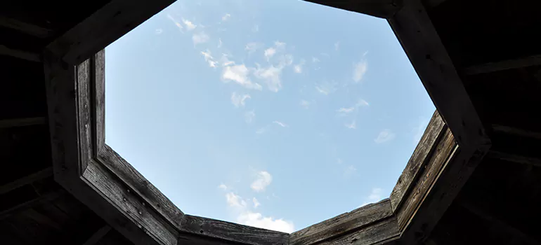 Octagon Window Installation Contractors in Carrollwood, FL