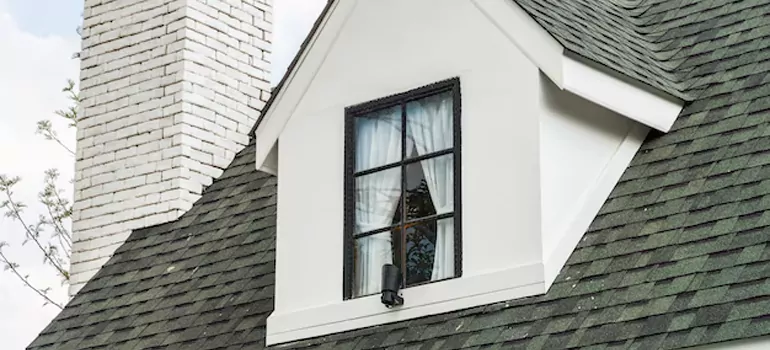 Roof Window Repair in Carrollwood, FL