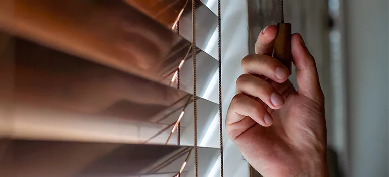 Double Roller Blinds in Carrollwood, FL