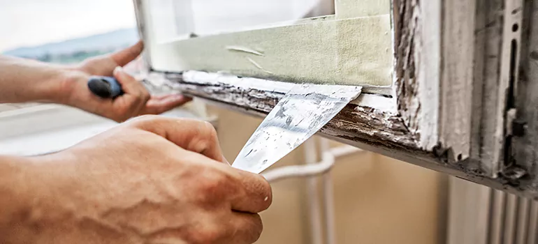 Exterior Window Frame Repair in Carrollwood, FL