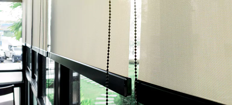 Blackout Window Shades in Carrollwood, FL