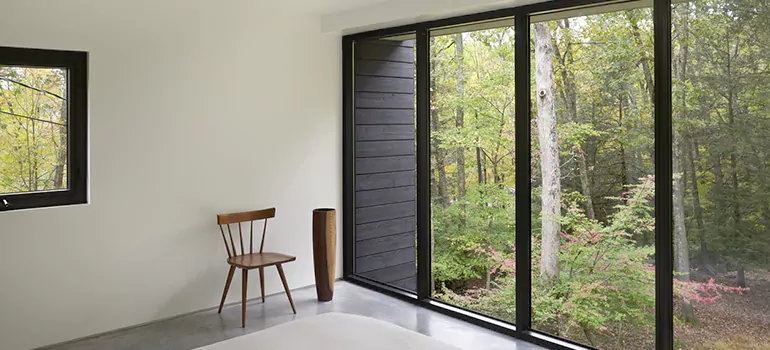 Triple Pane Energy Efficient Windows in Carrollwood, FL