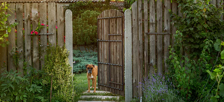 Winter Garden Garage Door Repair in Carrollwood,[location field=state]