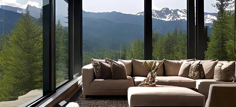 Picture Window Maintenance in Carrollwood, FL