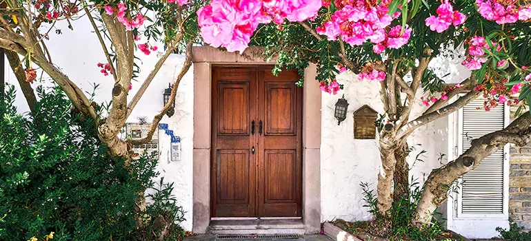 Traditional 4 Panel Internal Doors in Carrollwood, FL