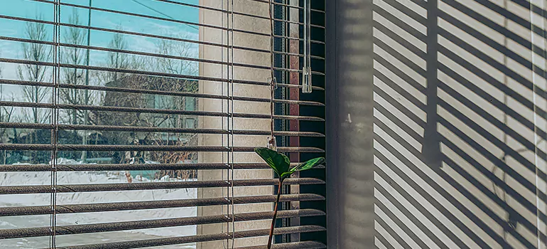 Commercial Window Blinds in Carrollwood, FL