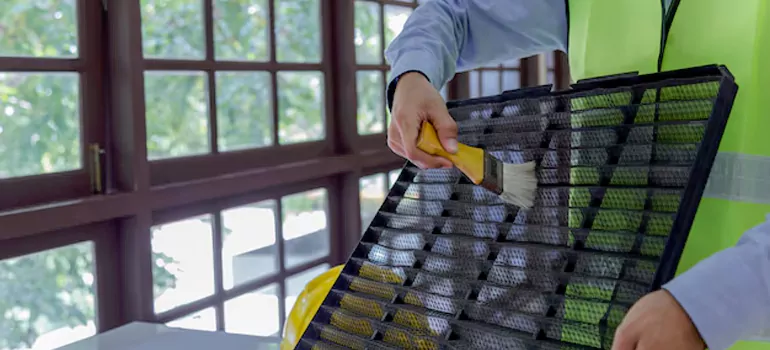 Traditional Window Grille Installation Options in Carrollwood, FL