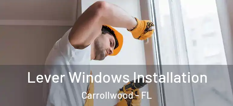 Lever Windows Installation Carrollwood - FL