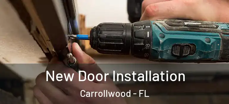New Door Installation Carrollwood - FL