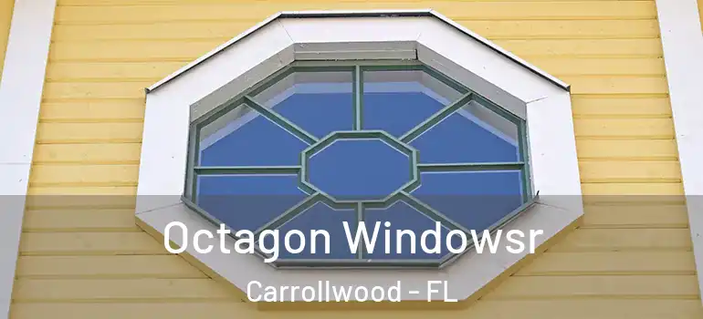 Octagon Windowsr Carrollwood - FL