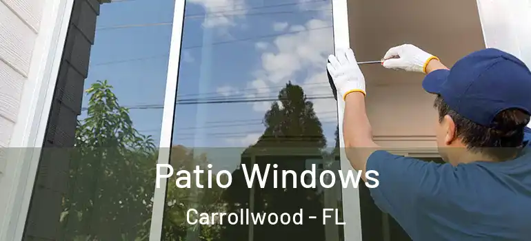 Patio Windows Carrollwood - FL