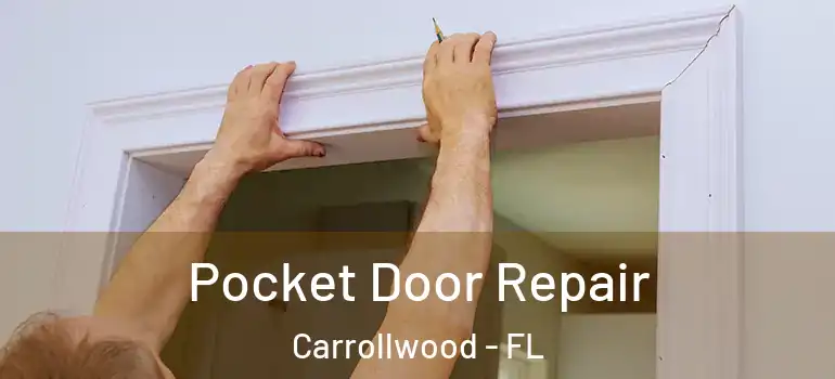 Pocket Door Repair Carrollwood - FL