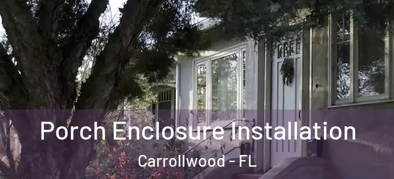 Porch Enclosure Installation Carrollwood - FL