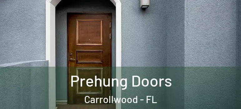 Prehung Doors Carrollwood - FL