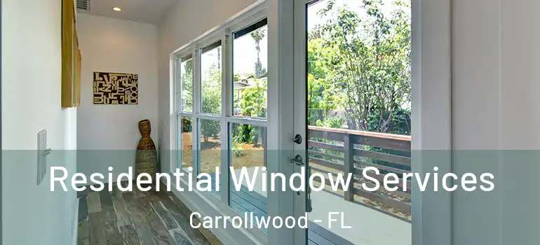 Residential Window Services Carrollwood - FL