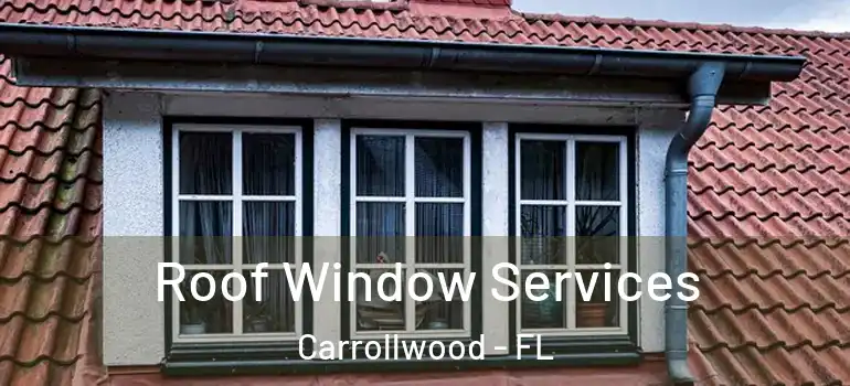 Roof Window Services Carrollwood - FL