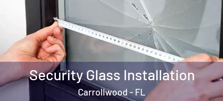 Security Glass Installation Carrollwood - FL