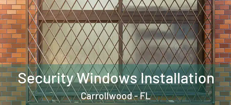 Security Windows Installation Carrollwood - FL