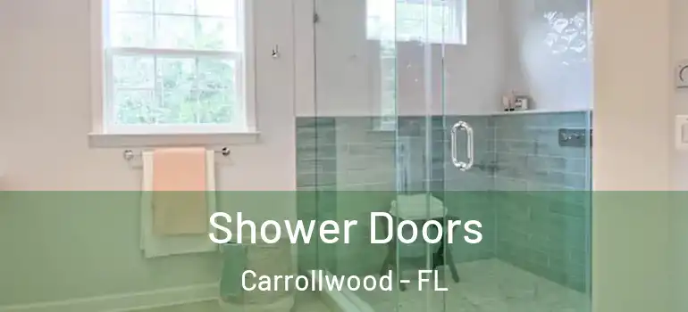 Shower Doors Carrollwood - FL