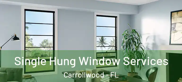 Single Hung Window Services Carrollwood - FL