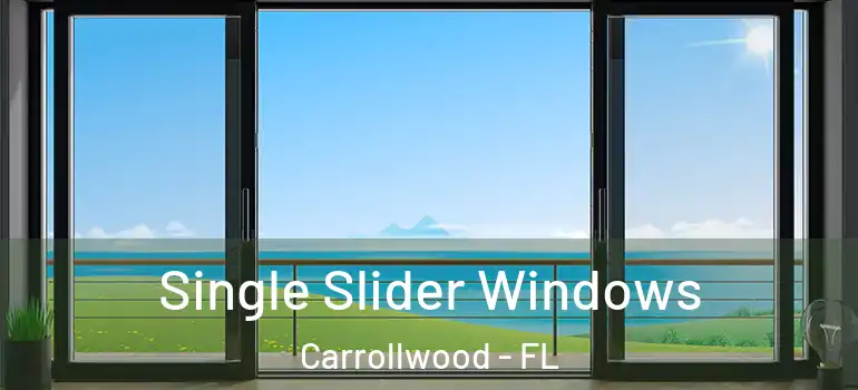 Single Slider Windows Carrollwood - FL