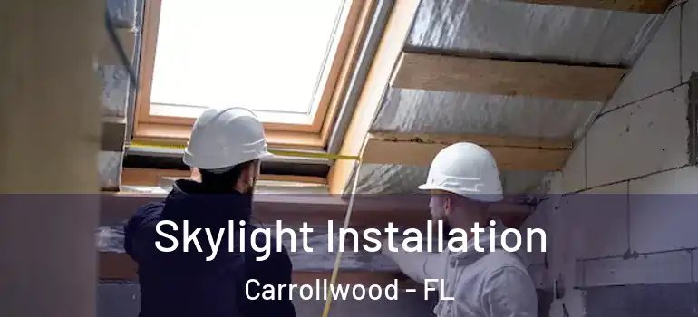 Skylight Installation Carrollwood - FL