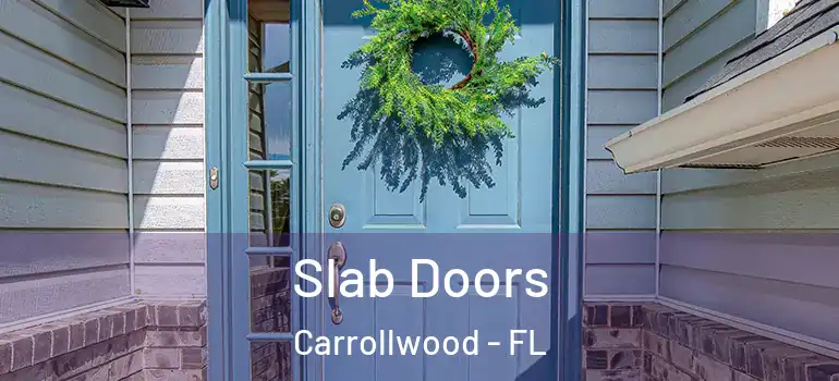 Slab Doors Carrollwood - FL