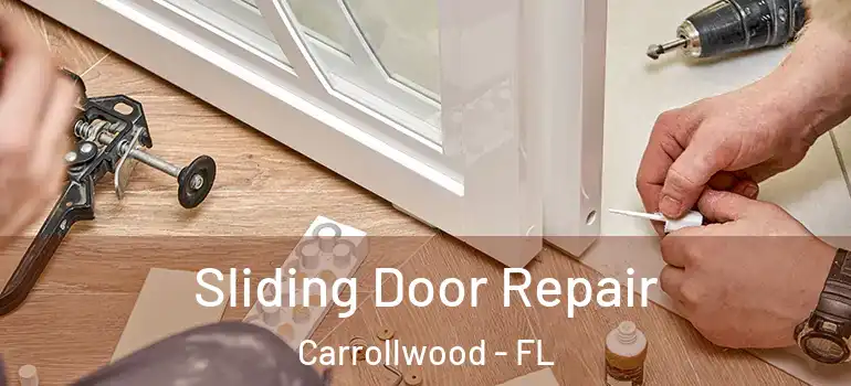 Sliding Door Repair Carrollwood - FL
