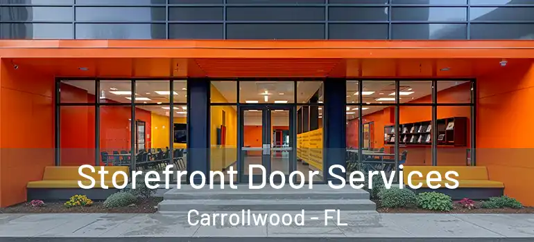 Storefront Door Services Carrollwood - FL