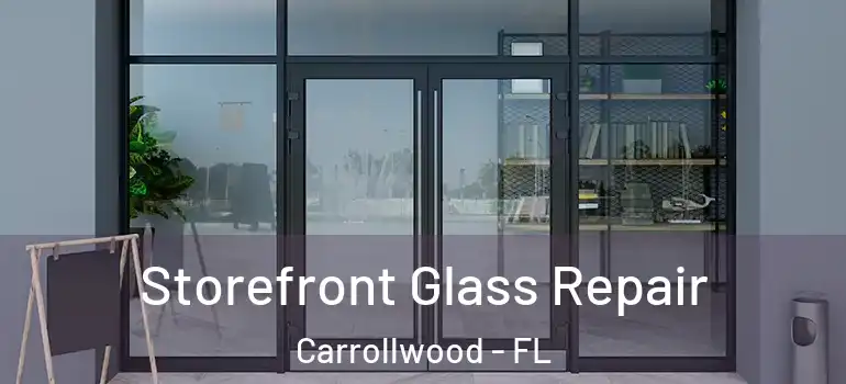 Storefront Glass Repair Carrollwood - FL