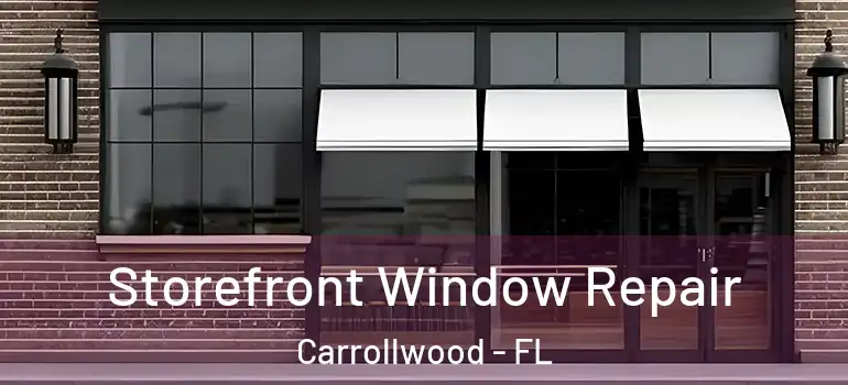 Storefront Window Repair Carrollwood - FL