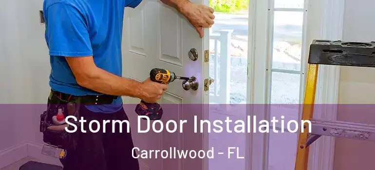 Storm Door Installation Carrollwood - FL