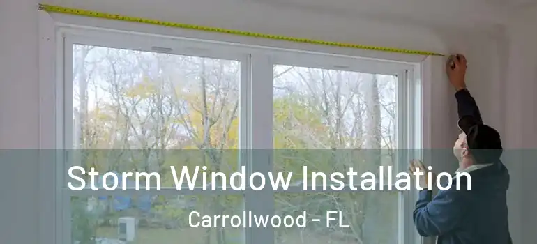 Storm Window Installation Carrollwood - FL