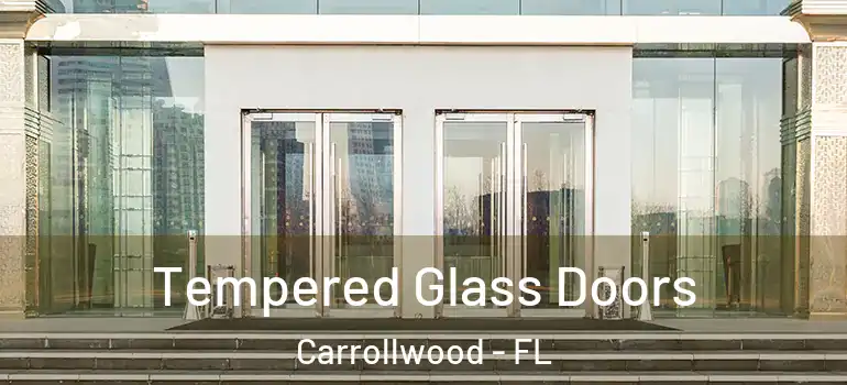 Tempered Glass Doors Carrollwood - FL