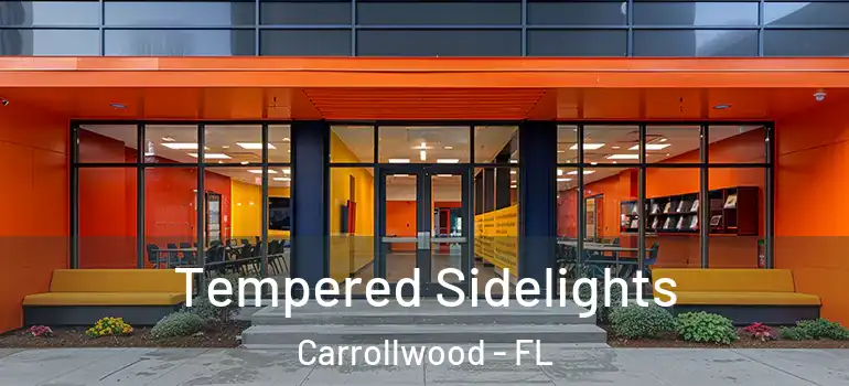 Tempered Sidelights Carrollwood - FL