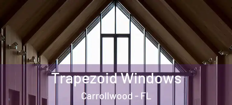 Trapezoid Windows Carrollwood - FL