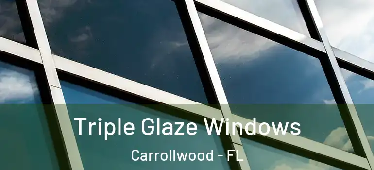 Triple Glaze Windows Carrollwood - FL