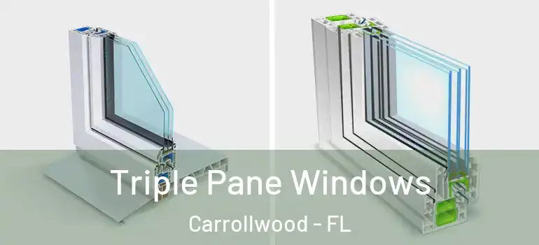 Triple Pane Windows Carrollwood - FL