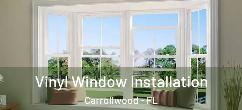 Vinyl Window Installation Carrollwood - FL