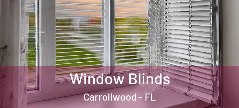Window Blinds Carrollwood - FL