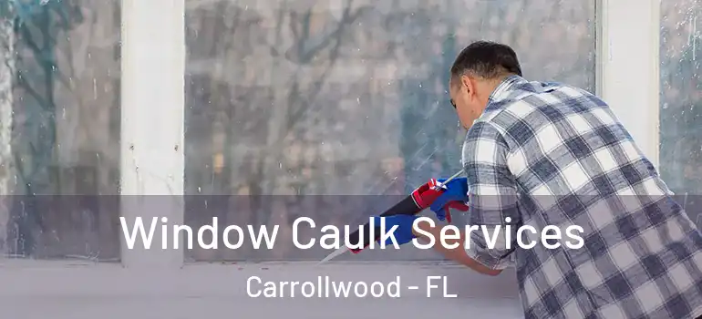 Window Caulk Services Carrollwood - FL