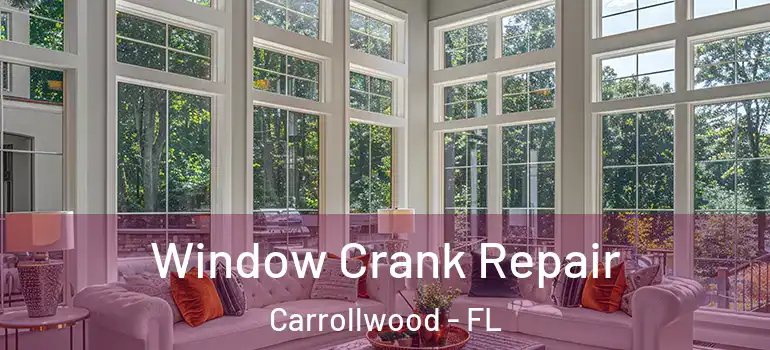 Window Crank Repair Carrollwood - FL